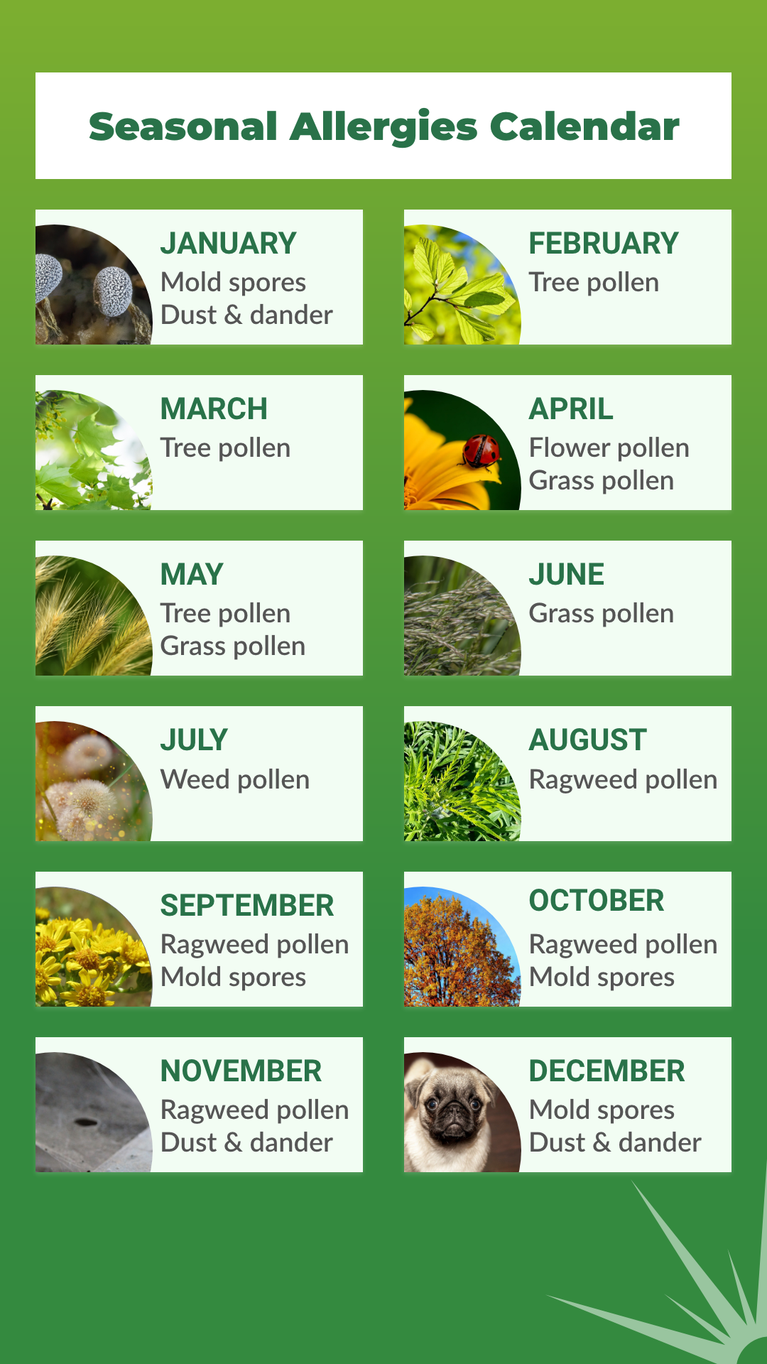 RxSpark seasonal allergies calendar